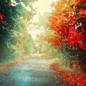 Meet your Posher, Karla